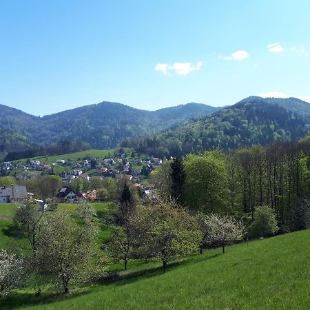 Ferienwohnung Schwarzwaldblick Buhlertal Luaran gambar