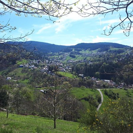 Ferienwohnung Schwarzwaldblick Buhlertal Luaran gambar