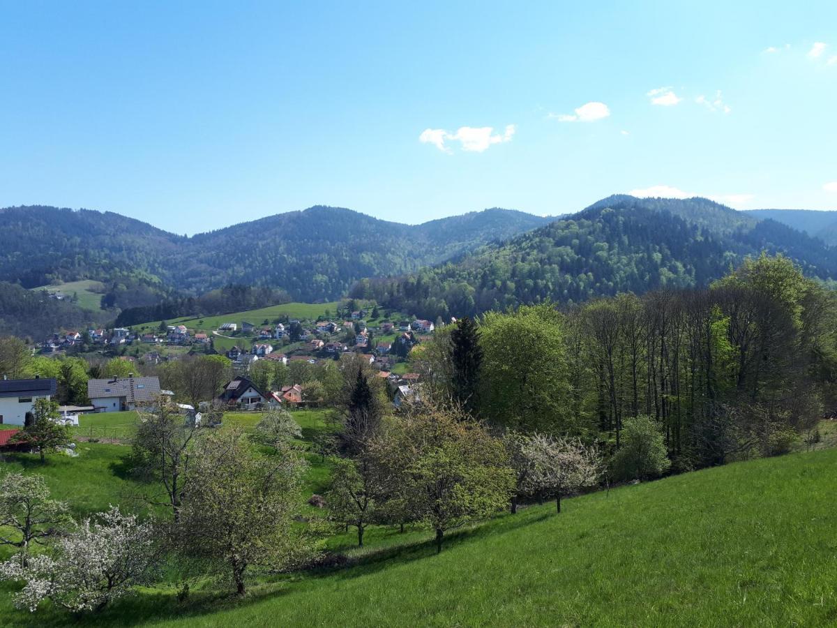 Ferienwohnung Schwarzwaldblick Buhlertal Luaran gambar