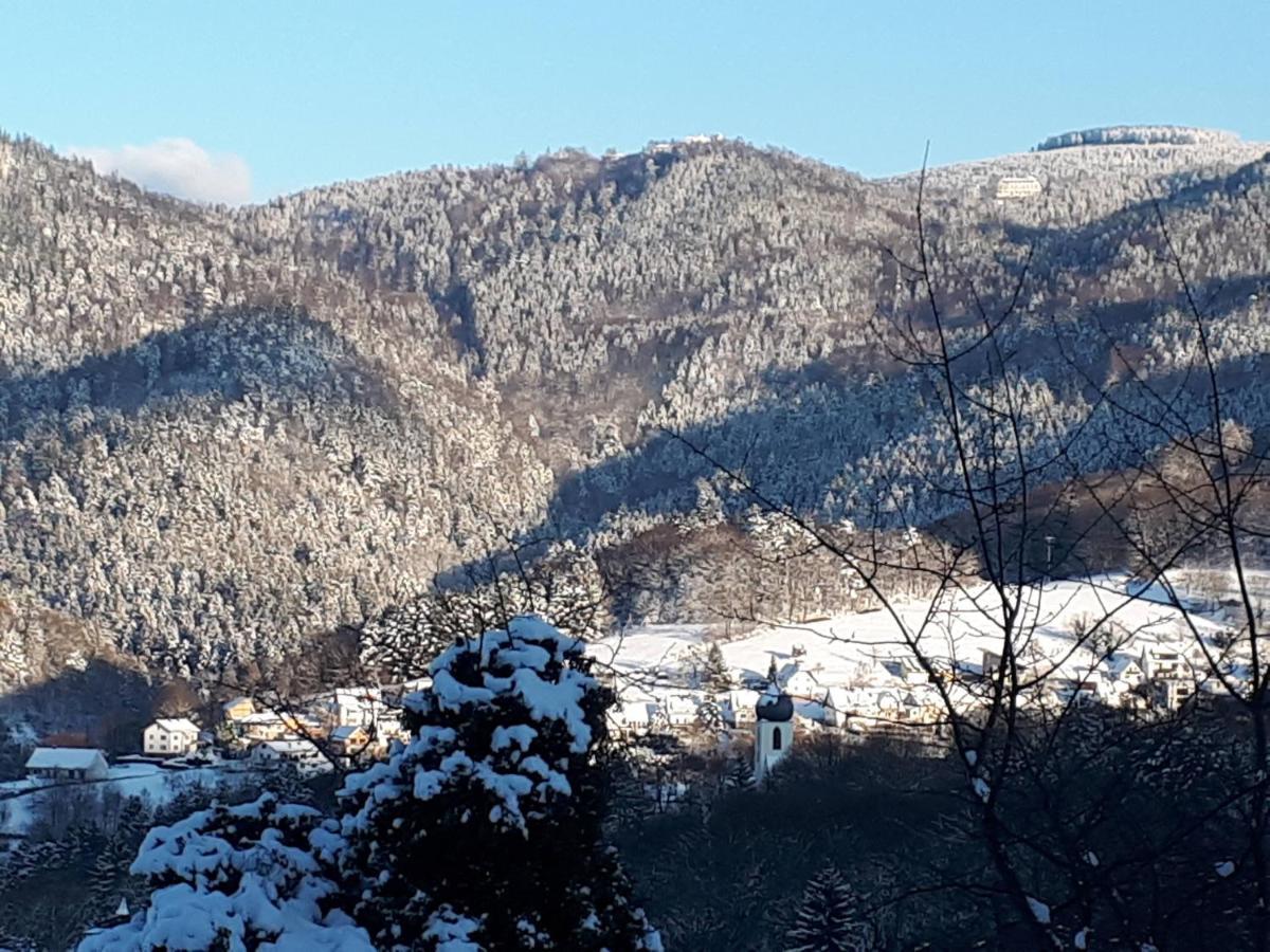 Ferienwohnung Schwarzwaldblick Buhlertal Luaran gambar