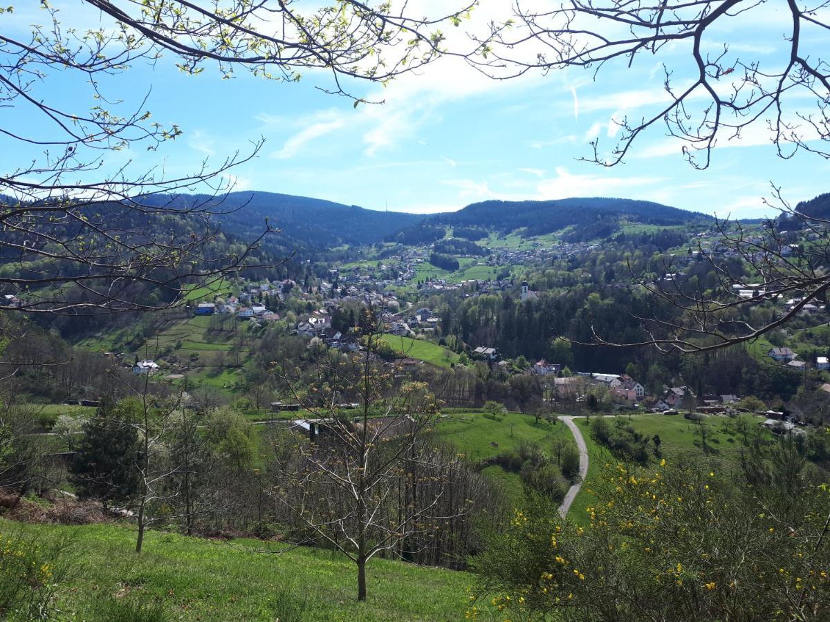 Ferienwohnung Schwarzwaldblick Buhlertal Luaran gambar